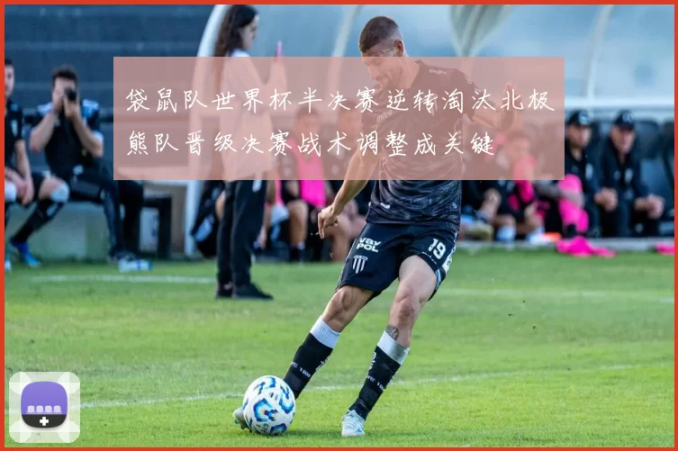 袋鼠队世界杯半决赛逆转淘汰北极熊队晋级决赛战术调整成关键