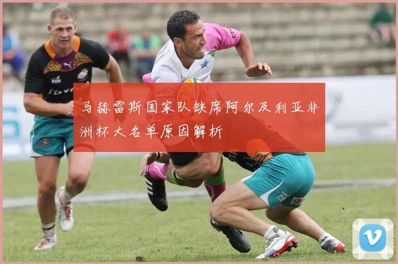 马赫雷斯国家队缺席阿尔及利亚非洲杯大名单原因解析