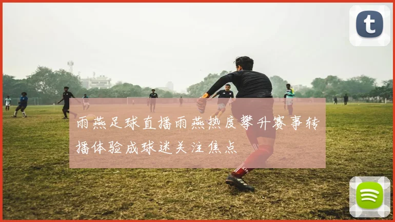 雨燕足球直播雨燕热度攀升赛事转播体验成球迷关注焦点