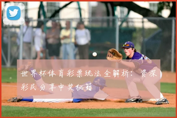 世界杯体育彩票玩法全解析：资深彩民分享中奖秘籍