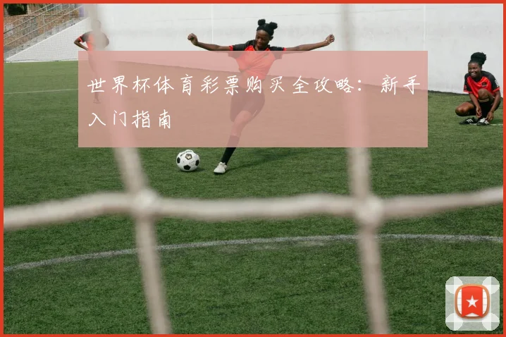 世界杯体育彩票购买全攻略：新手入门指南